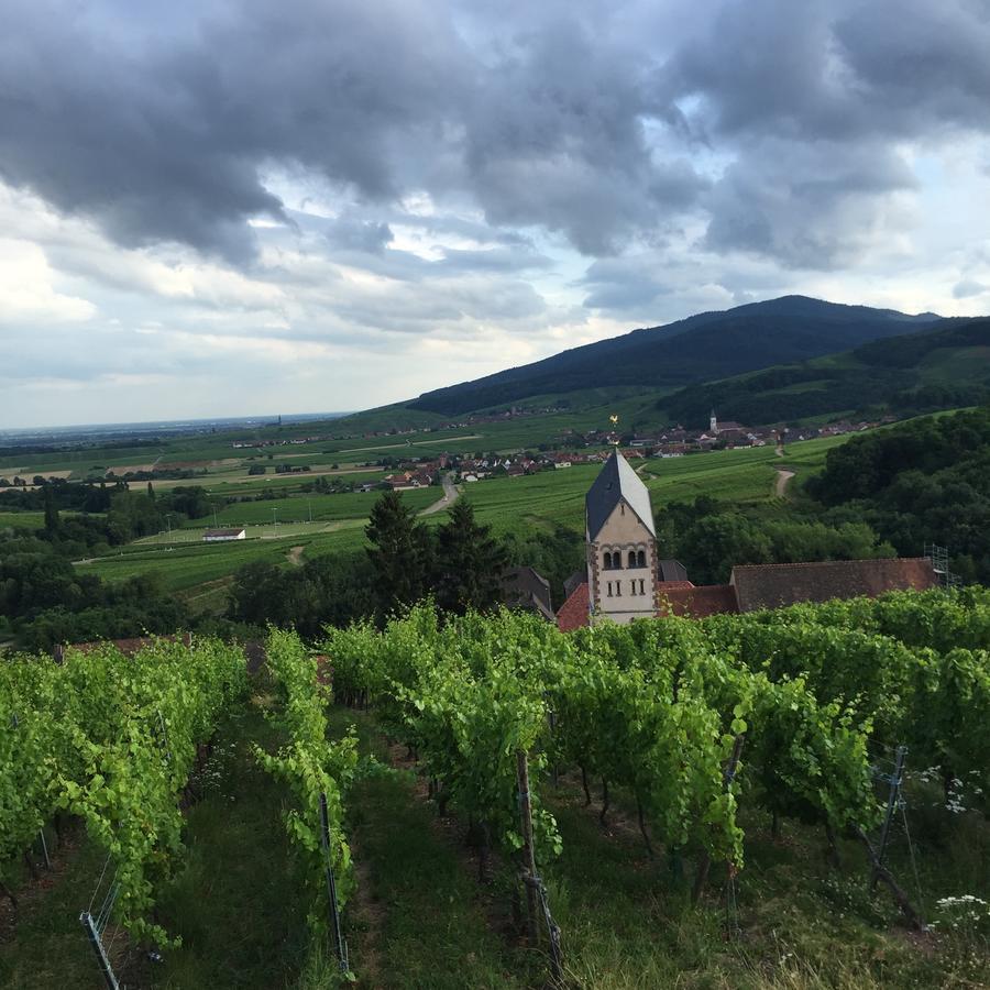 Gite Fleur De Vignes Itterswiller Esterno foto