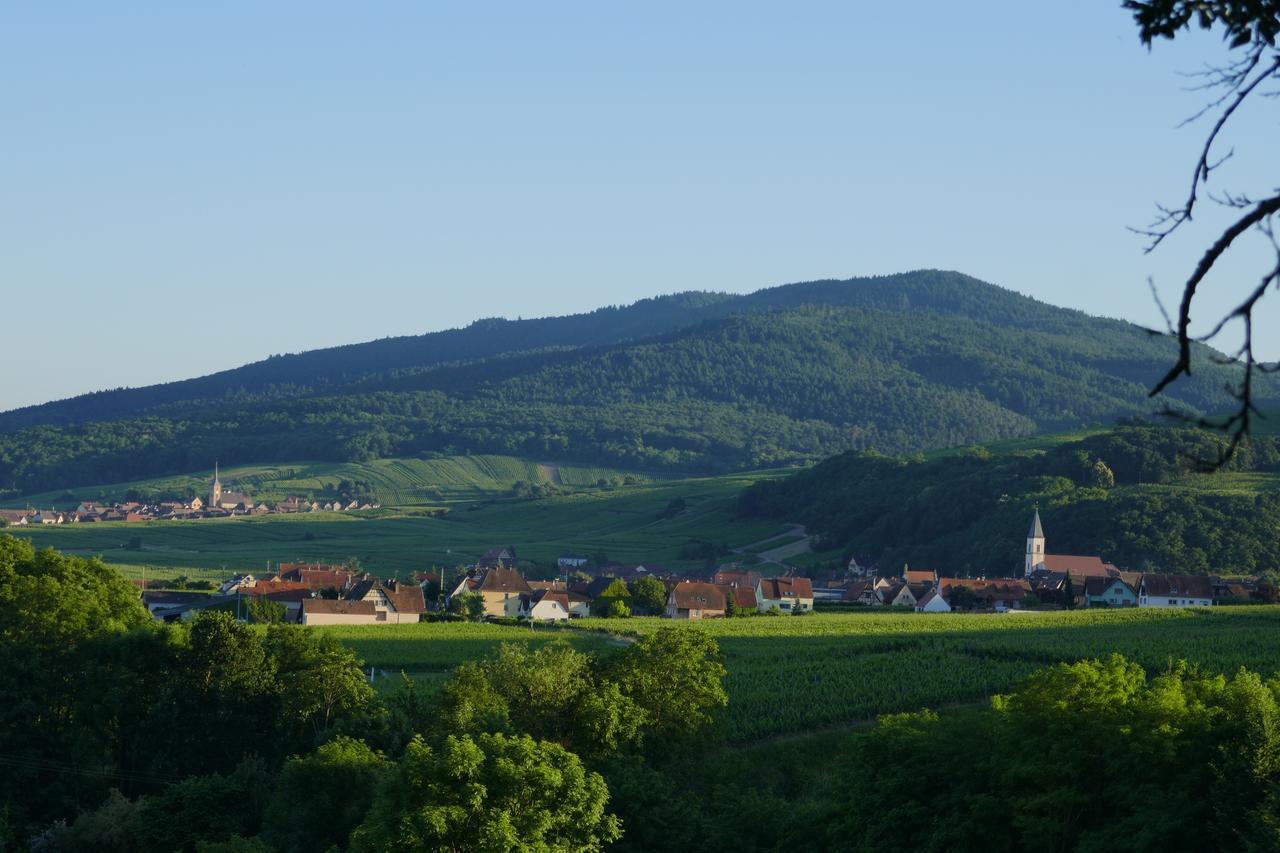 Gite Fleur De Vignes Itterswiller Esterno foto
